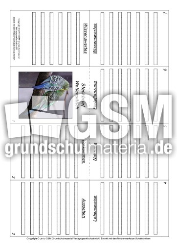 Faltbuch-Wellensittich.pdf